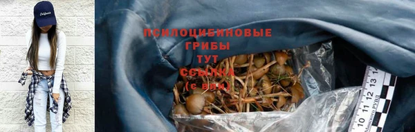каннабис Белокуриха